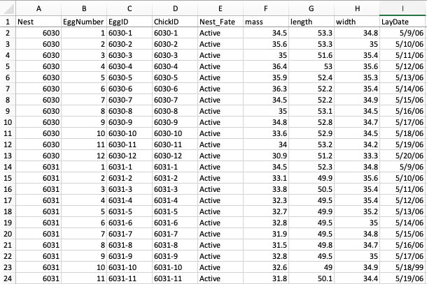 Example spreadsheet of data on egg size of American Coots